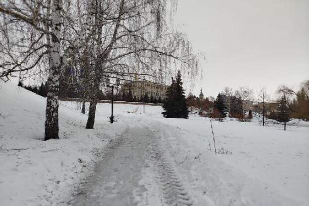 Синоптики рассказали о погоде в Тамбове в праздничные выходные