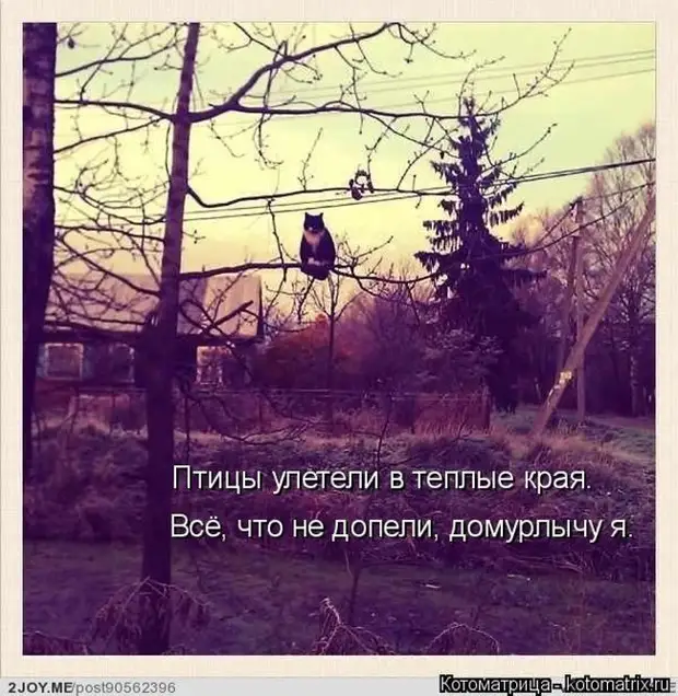 Будут внуки потом все