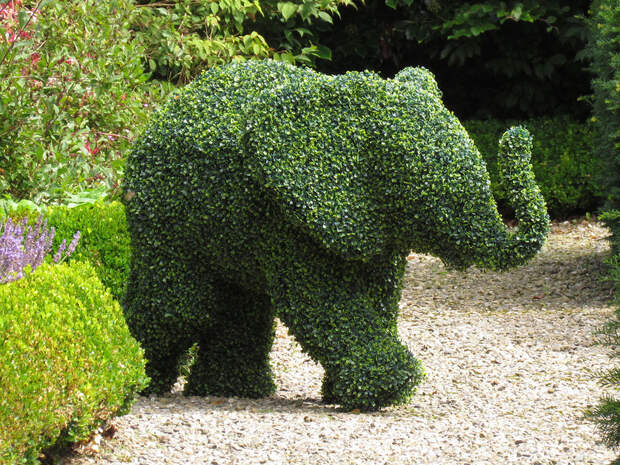 Сад Левенс Холл (35 фото)