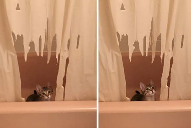 Как же скучают, милые монстрики! :-)