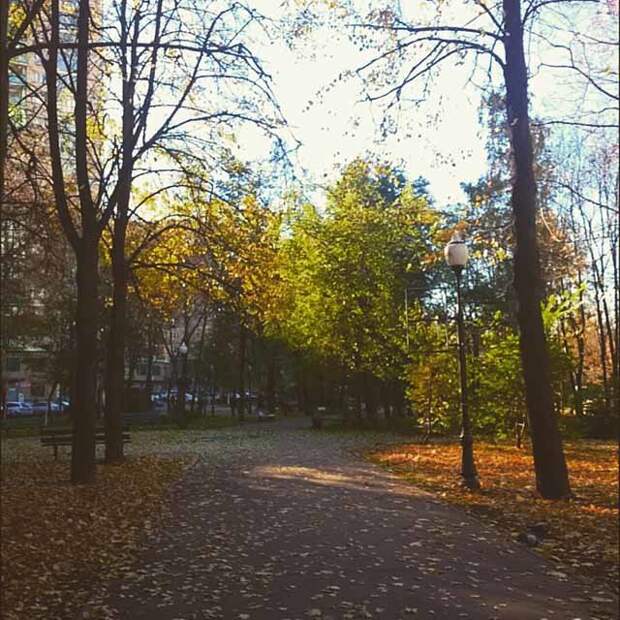 Золотая осень в сквере на улице Бажова