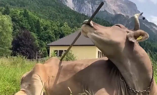 Источник фото: YouTube@CBS News/скриншот