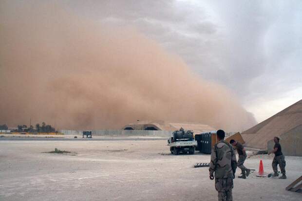 9. Мелкая песчаная пыль, которую поднимает сильный ветер, проникает в уши, глаза, носоглотку, в легк
