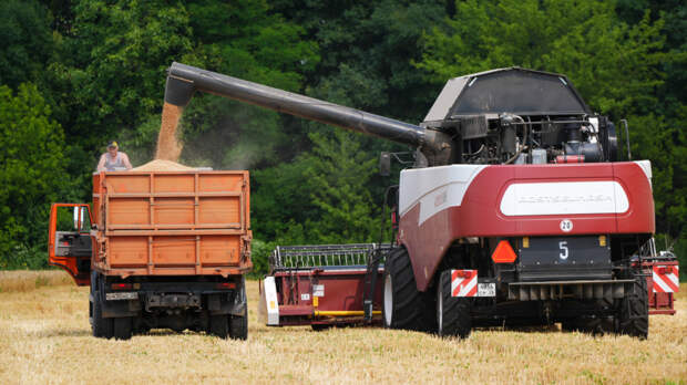Рост или стоп: чем грозит снижение прогноза по сельскому хозяйству