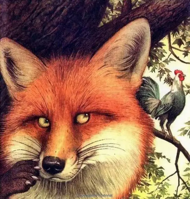 Крошка ши картинки. Детские стихи про лисичку. Хитрый как лис ловкий как тигр. Хитрый как кто. Лисс избавляется от блох.