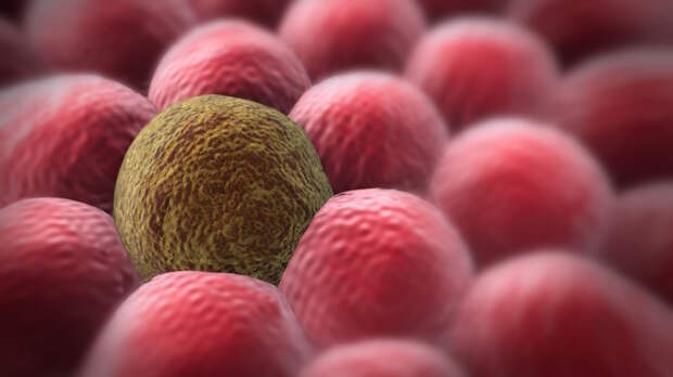 Первый отечественный сканер для диагностики рака запустили в серийное производство в России