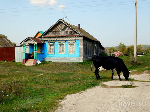 Самарская Заволга на велосипеде или бабье лето в самом разгаре / Фото из России