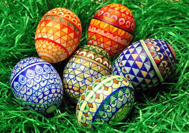 Врач Еделев сообщил, что одно яйцо повышает уровень вредного холестерина на 13%