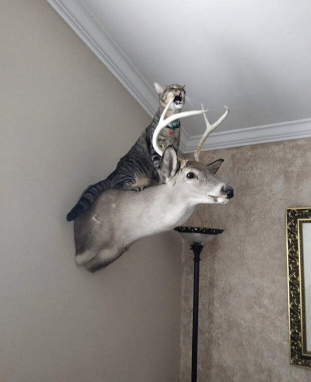 5116118_original (570x700, 228Kb)