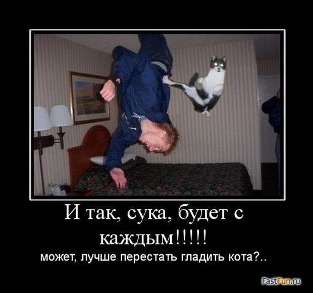 Подборка демотиваторов