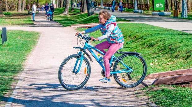 Москвичи получат бонусы и подарки во Всемирный день без автомобиля