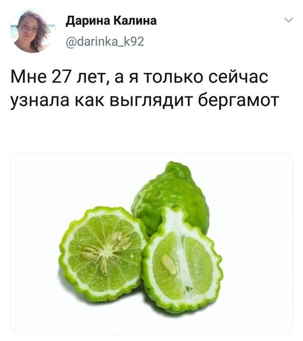 Как выглядит бергамот