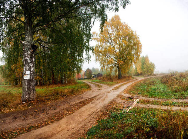 Деревенскими дорогами ... Дорога, Деревня, Природа, Трава, Лето, Фотография, Длиннопост
