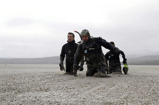 Лучшие снимки Reuters 2011 (часть 2)