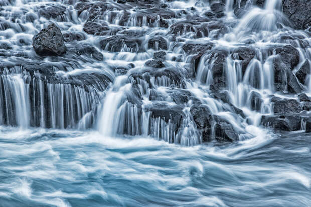 Лучший фотограф природы 2020 года