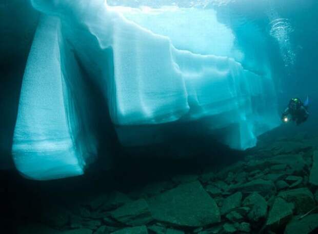 Дайвинг под ледяными глыбами (15 фото)