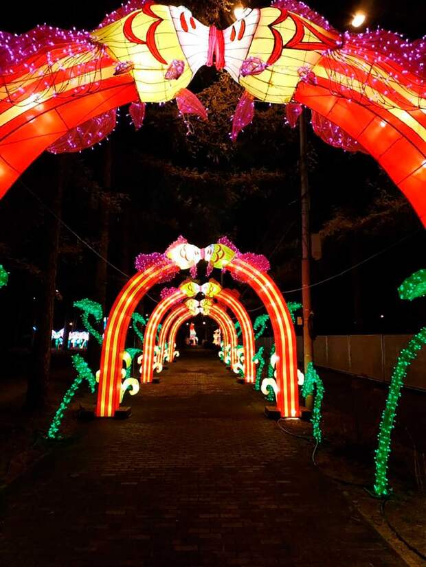 Фото: пресс-служба