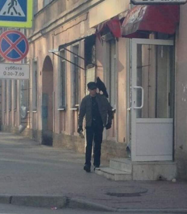 Порция прикольных картинок (37 шт)