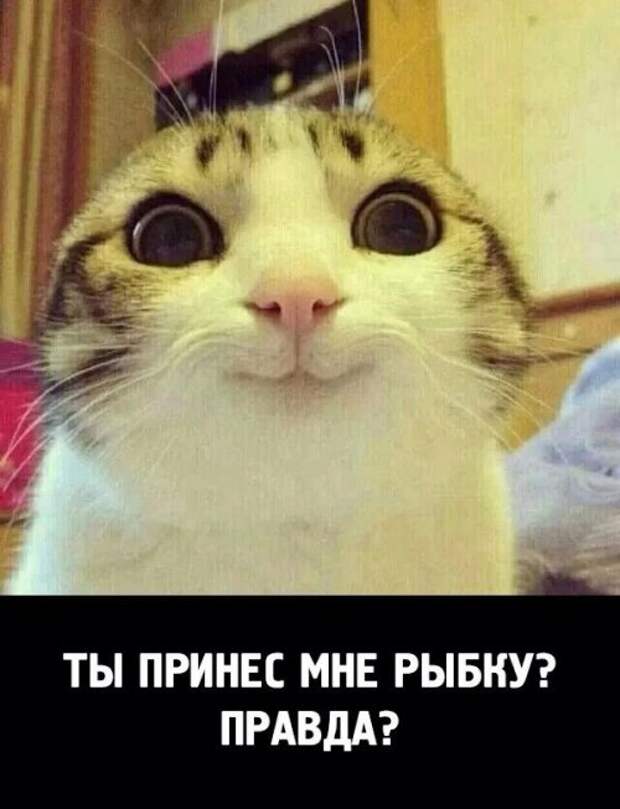 Классные картинки и фото приколы (45 шт)