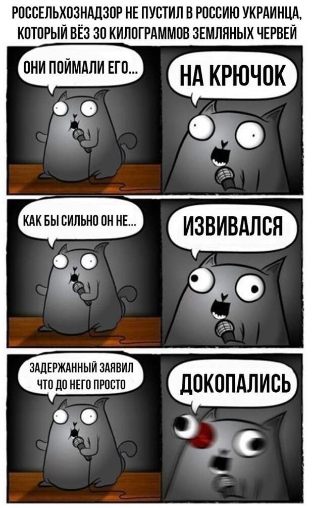 Стендап-кот и его коллекция саркастических комиксов Стендап-кот и его коллекция саркастических комиксов