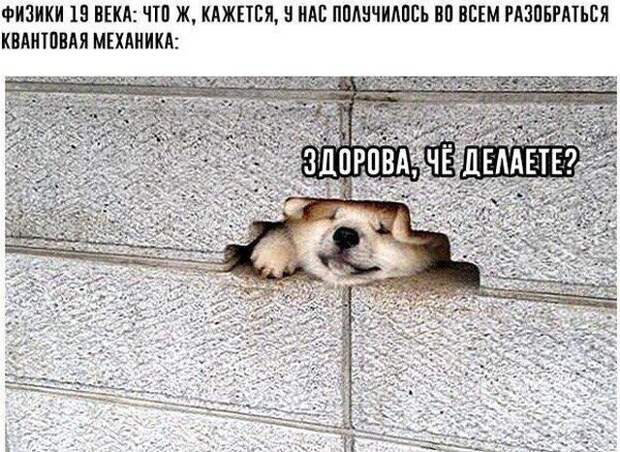 www.vsyako.net