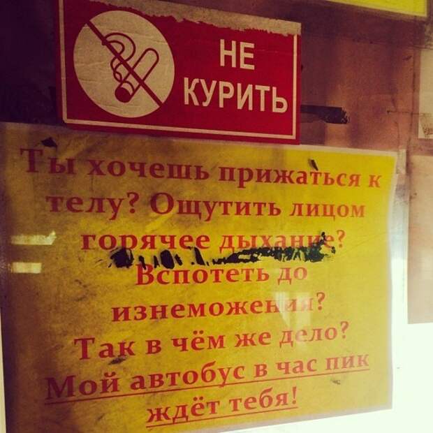 Вот почему я обожаю поездки в общественном транспорте Вот почему я обожаю поездки в общественном транспорте