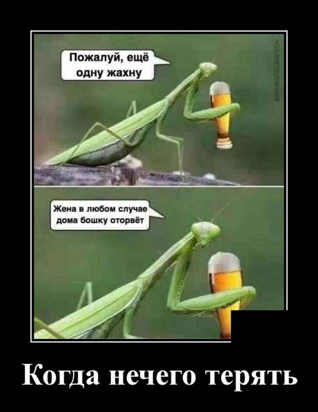 Демотиваторы (20 фото)