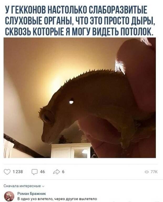Полезная функция Полезная функция