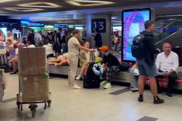 "Новые люди" внесли в Госдуму проект о повышении выплат за задержку авиабагажа