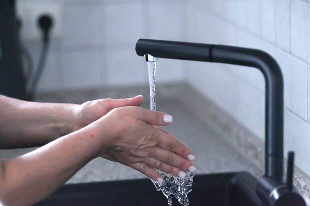 Онищенко призвал россиян лучше мыть руки и овощи из-за вируса Нипах