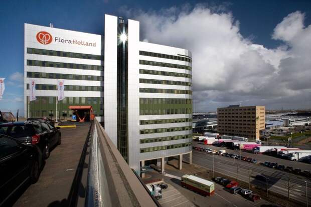 Цветочный аукцион FloraHolland в Голландии (14 фото)
