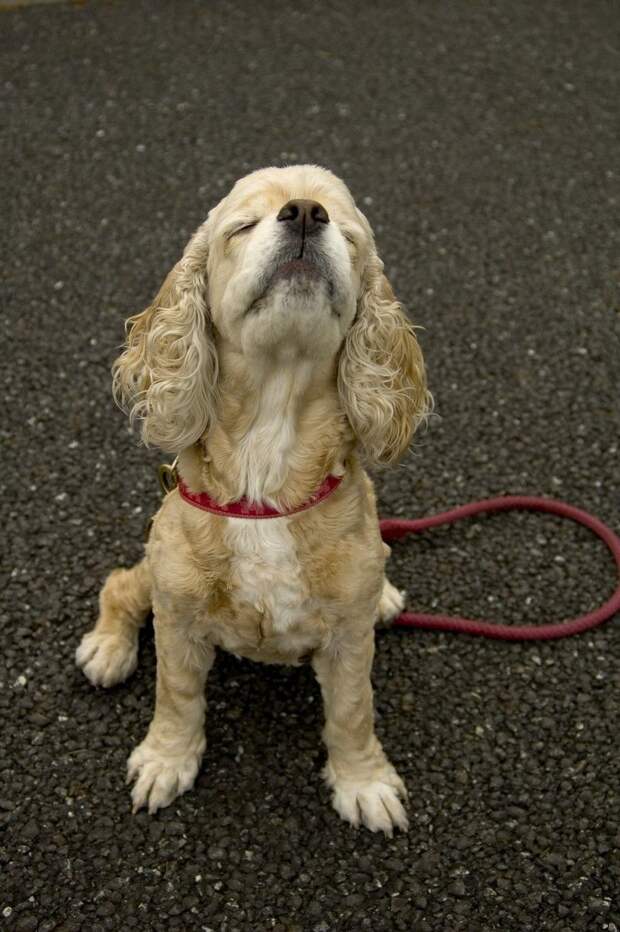 Давайте улыбаться вместе :) (27 улыбок)