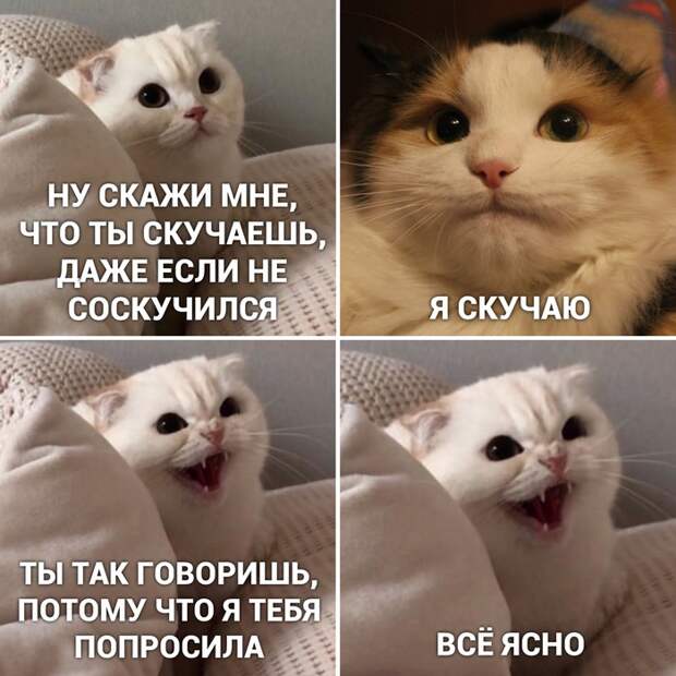 Отношения - штука сложная Отношения - штука сложная