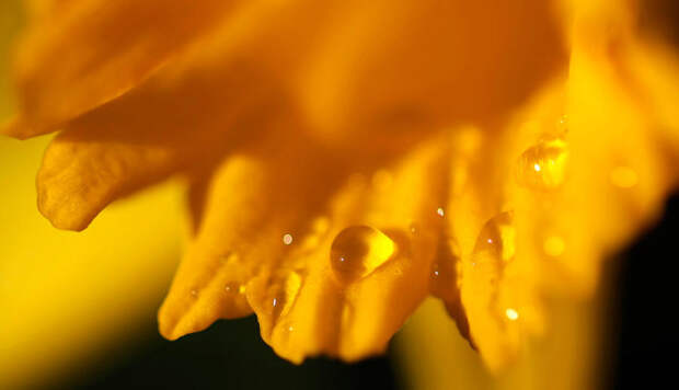 Весна за окном Весна за окном