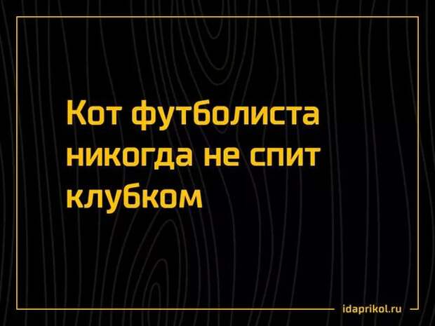 Доча, почему бутылка с виски наполовину пуста?