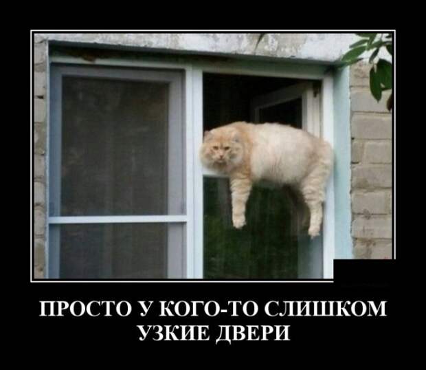 Демотиваторы (30 фото)