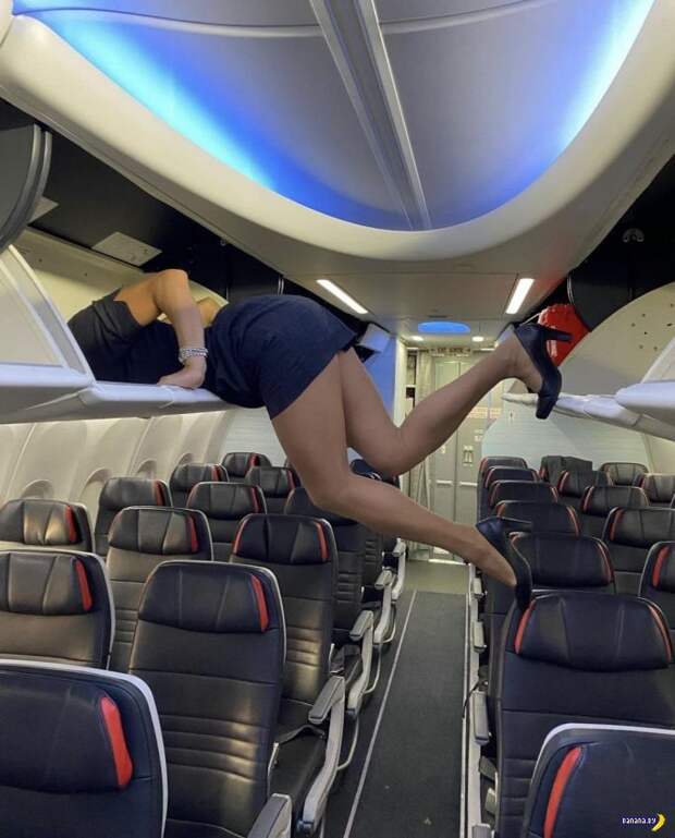 Раздеваем стюардесс! ✈️ - 15 Раздеваем стюардесс! ✈️ - 15