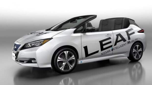 Nissan Leaf Open Car