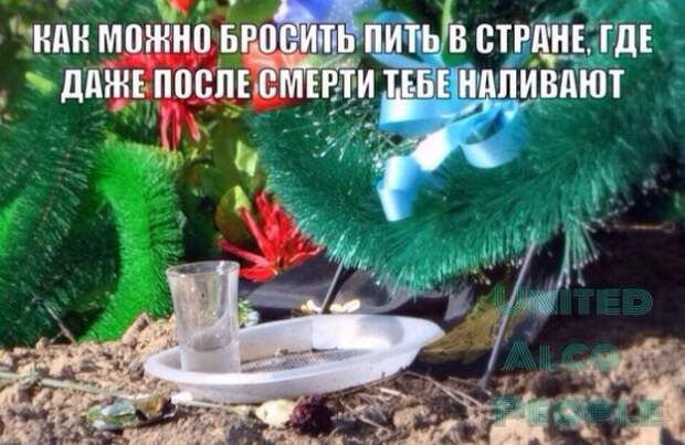 Алкоюмор Алкоюмор