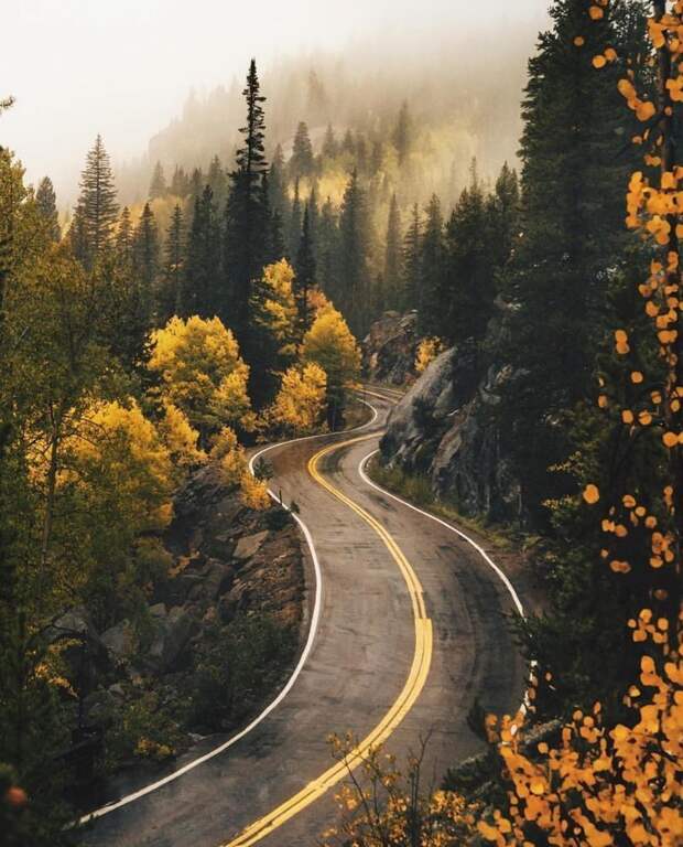 25 чудесных дорог, которые так и манят отправиться в путешествие дальняя дорога, дорога, красота, природа, путешествия, фотографии