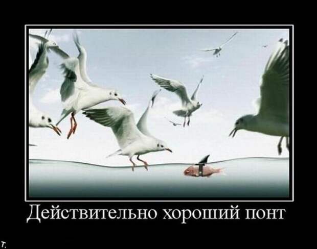 Подборка классных демотиваторов № 107