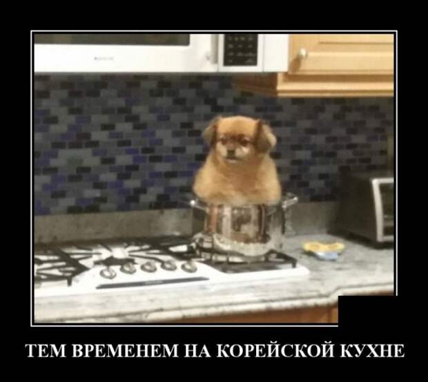 Демотиваторы (20 фото)