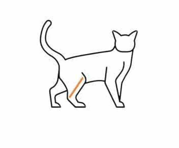 699e10288cdf2dabcd36cf181da7012a.png