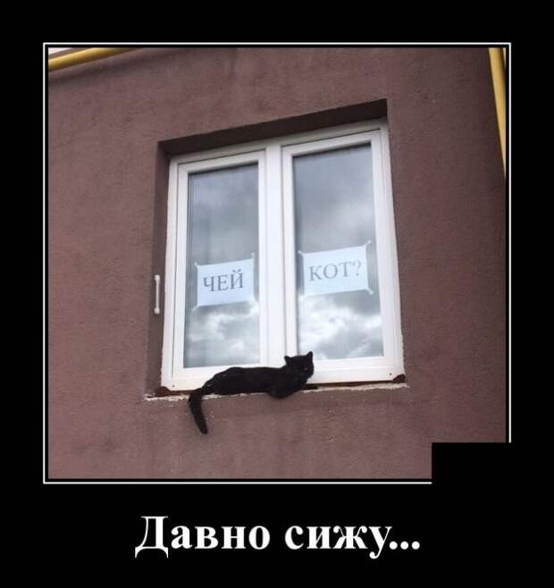 Демотиваторы