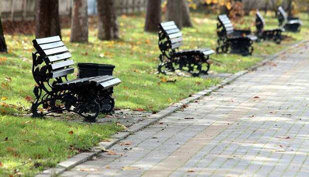 Территория от Алтуфьевского шоссе до станции «Отрадное» станет местом прогулок Фото с сайта pixabay.com