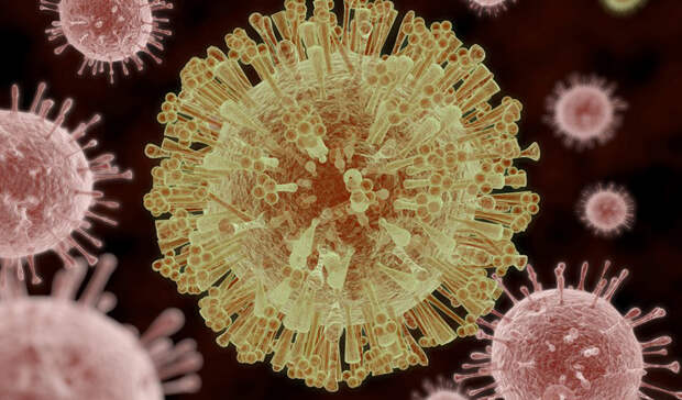 Вирус Зика: болезнь, угрожающая всему человечеству