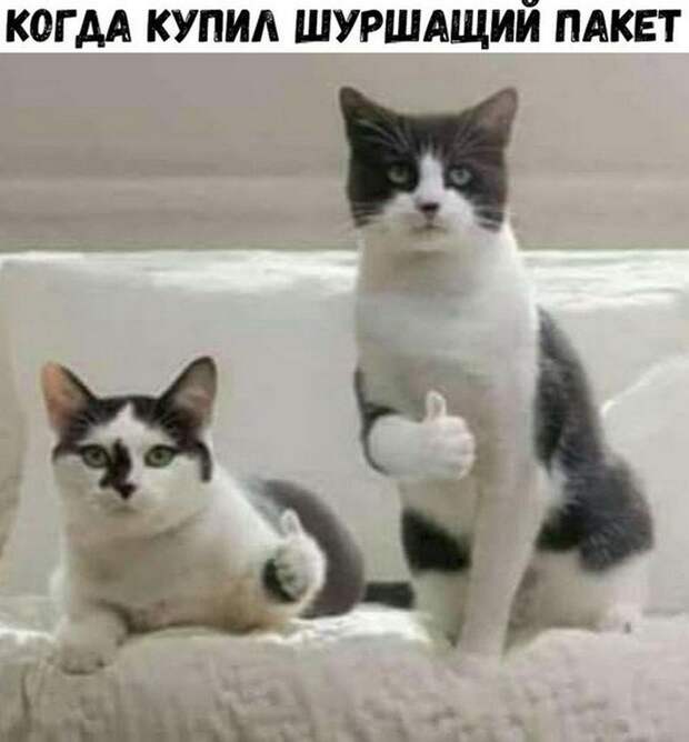 Четкая закупка, братан я в Европу и многое другое в воскресных прикольных картинках