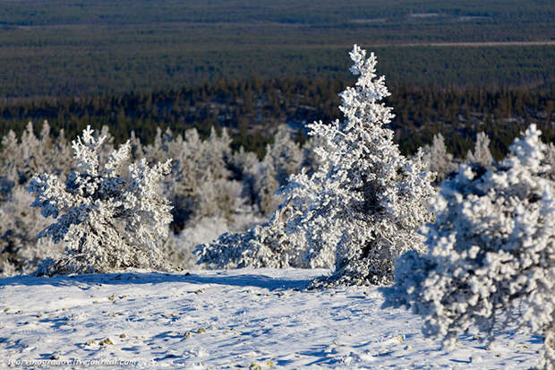 Северная Финляндия. Лапландия