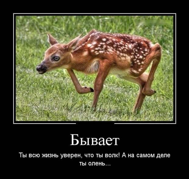 Демотиваторы - 999 Демотиваторы - 999