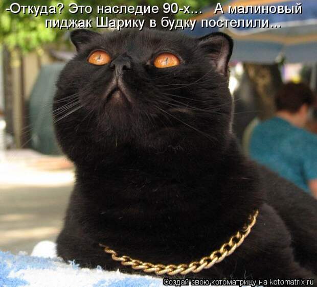 Котоматрица: -Откуда? Это наследие 90-х... А малиновый пиджак Шарику в будку постелили...